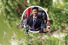 伊人婷婷视频葡萄酒總經理畢曉雪接受《文匯報》專訪，暢談“一帶一路”建設經驗
